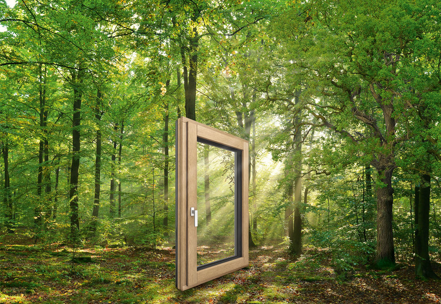 Fenstermaterial-Holz