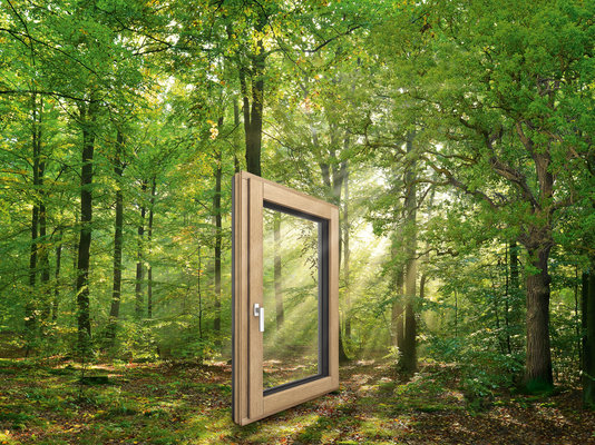 Fenstermaterial-Holz
